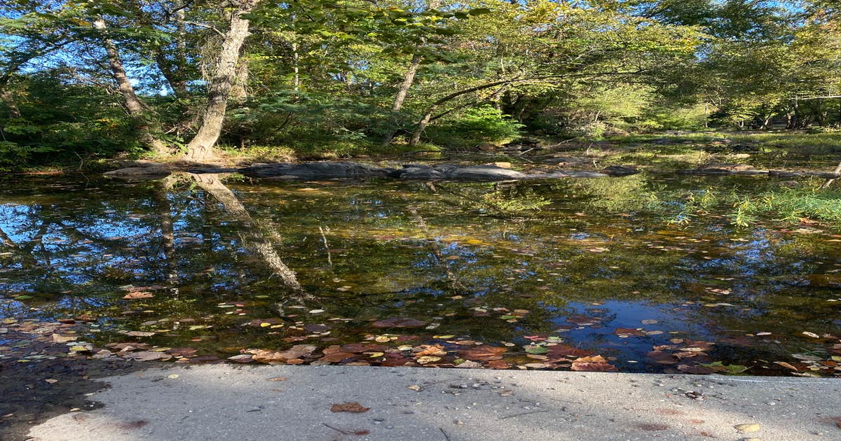 Lucky’s Campground Canoe & Kayak Rental Glenwood, AR