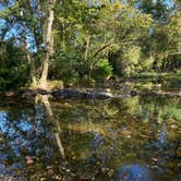 Review photo of Lucky’s Campground Canoe & Kayak Rental by Cultivating Fire L., October 7, 2022