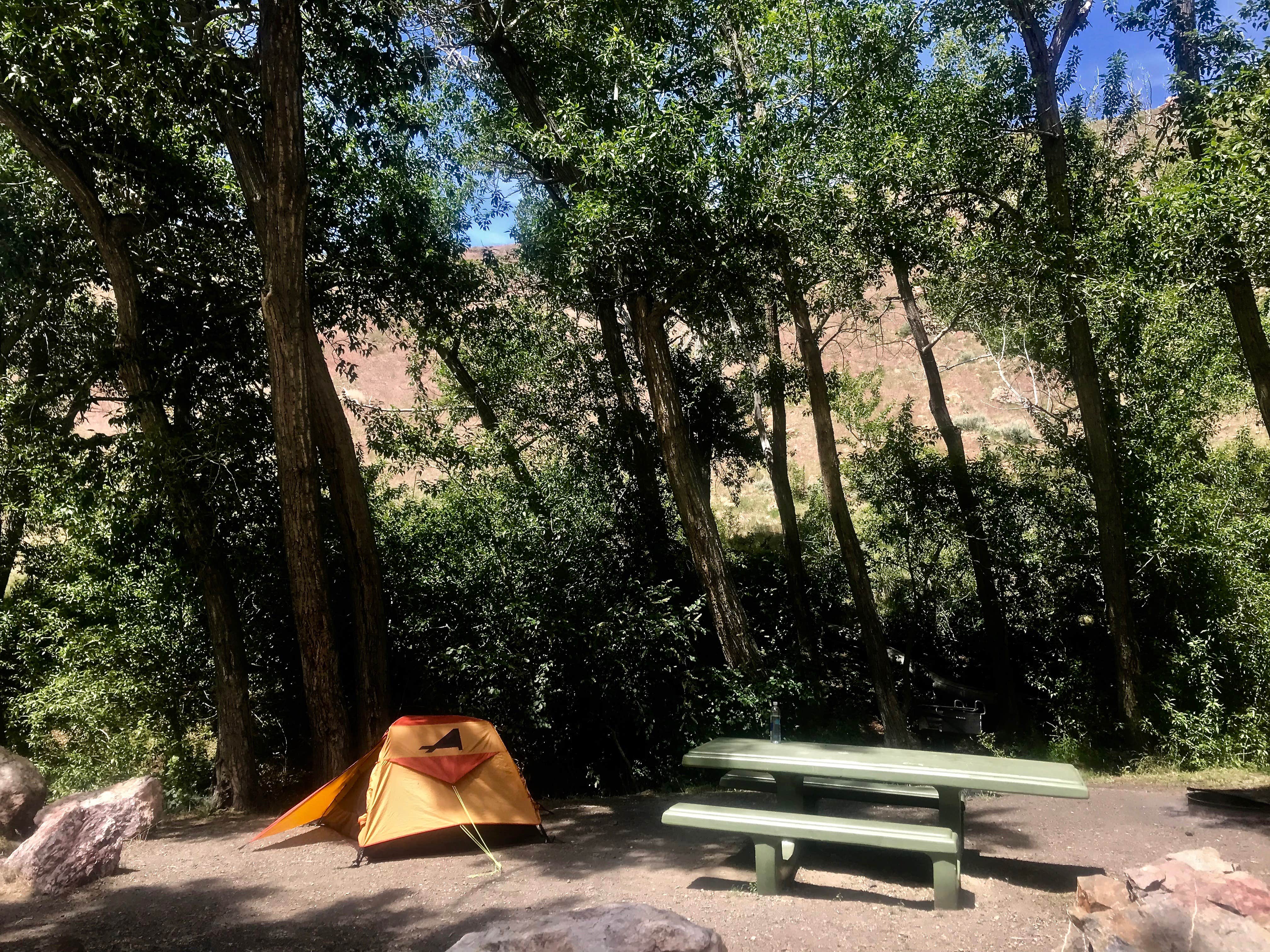 Camper submitted image from Water Canyon Recreation Area - 4