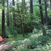 Review photo of La Wis Wis Campground by Megan C., August 6, 2016