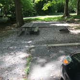 Review photo of Elkmont Campground — Great Smoky Mountains National Park by Crystal C., September 6, 2018
