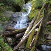 Review photo of La Wis Wis Campground by Megan C., August 6, 2016