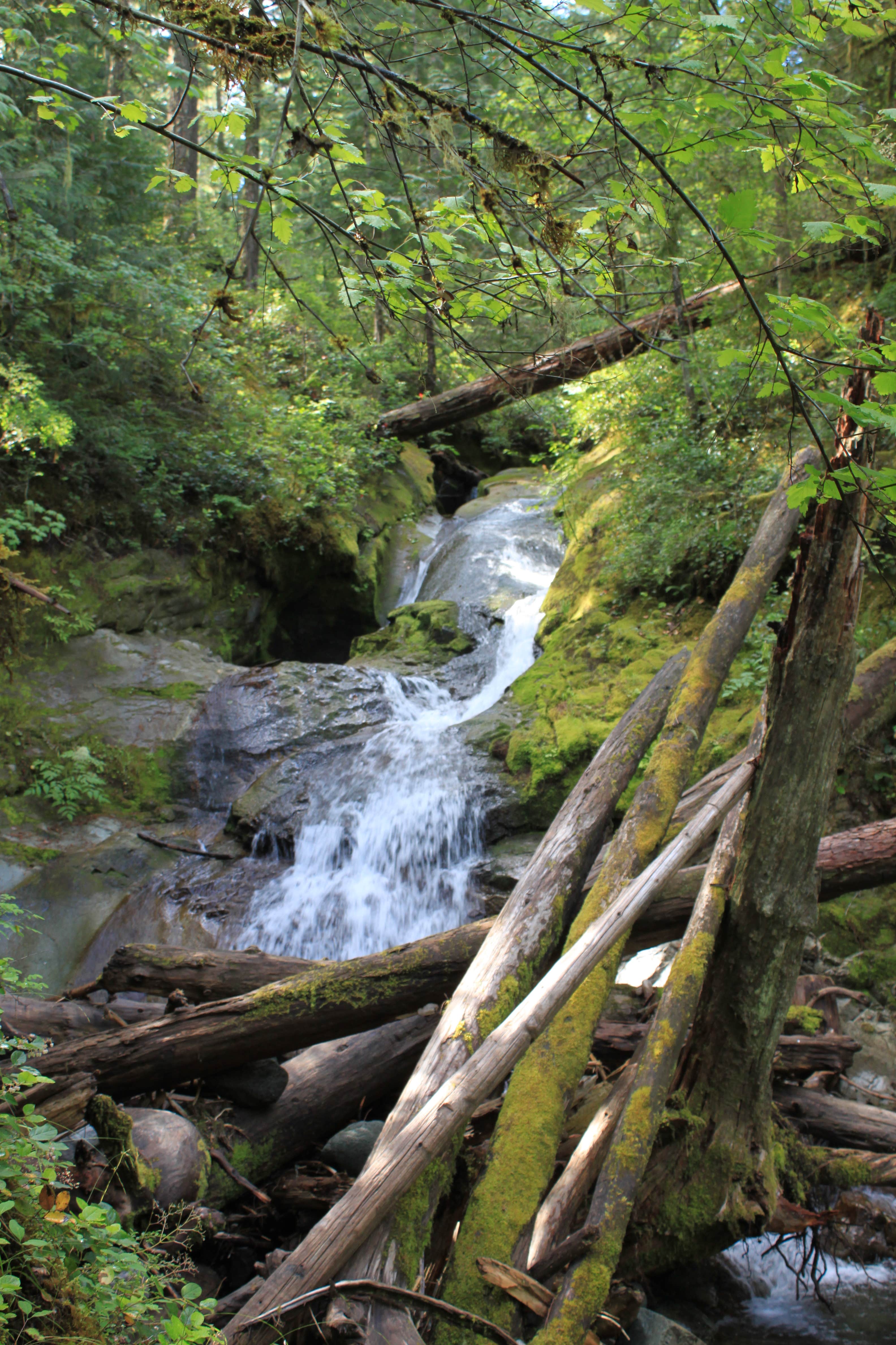 Camper submitted image from La Wis Wis Campground - 4