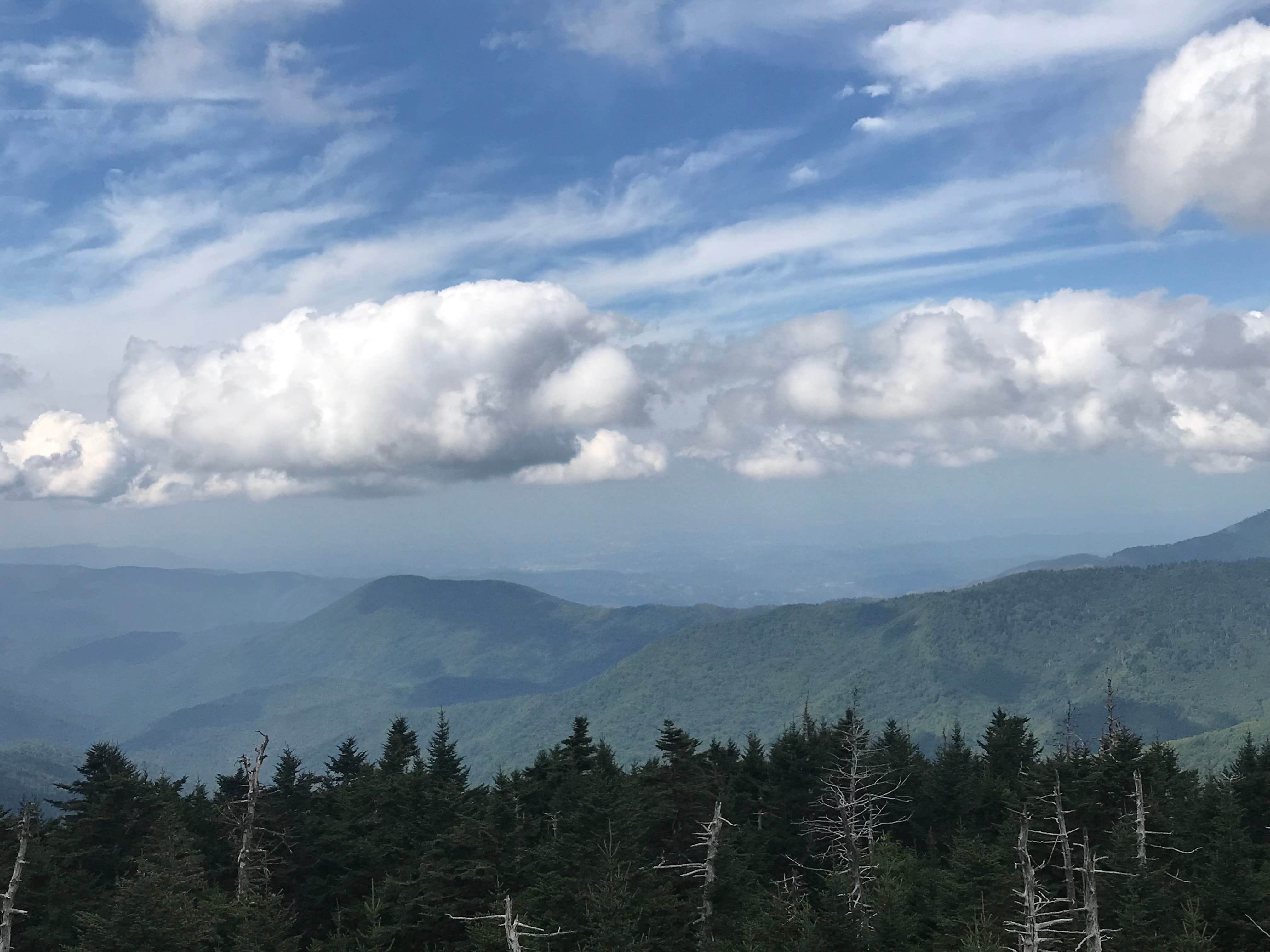 Camper submitted image from Mount Collins — Great Smoky Mountains National Park - 2