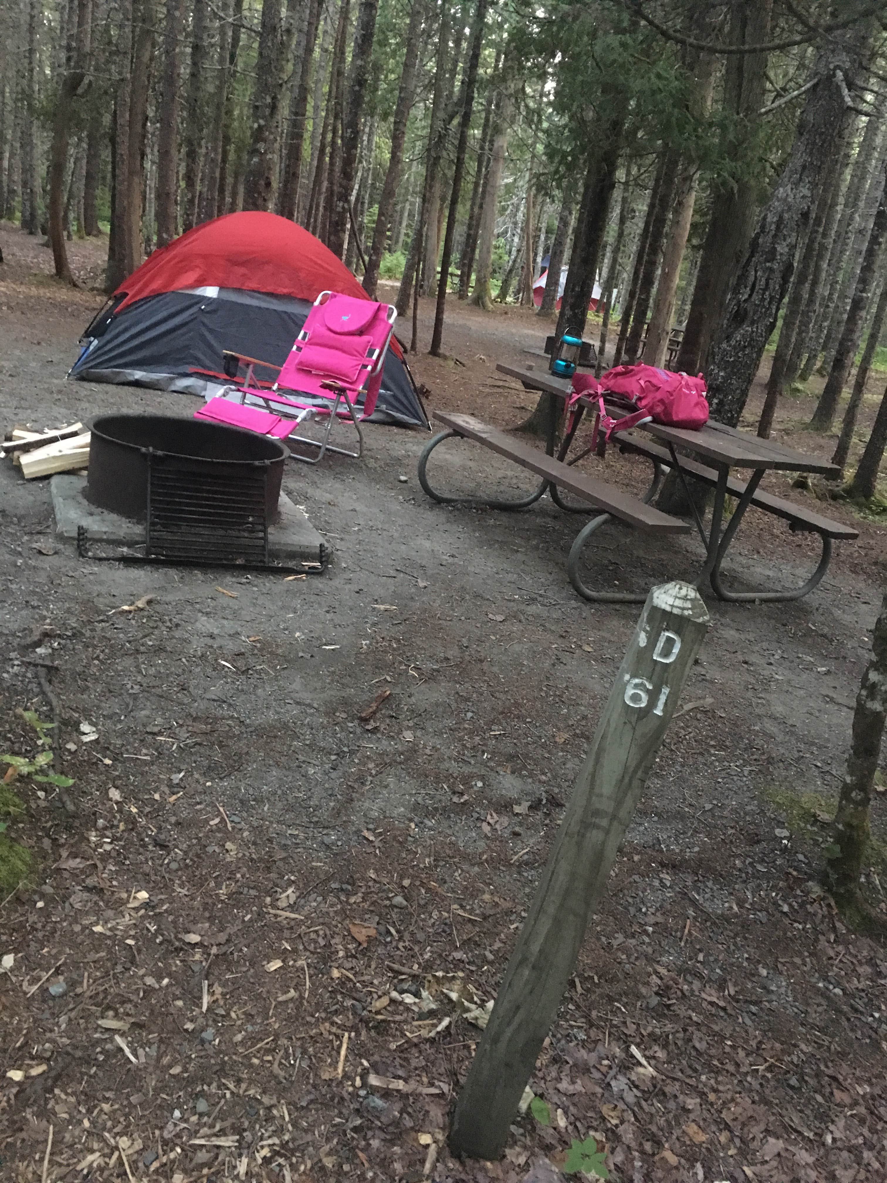 Rachel P.'s photo at Seawall Campground — Acadia National Park near Acadia National Park