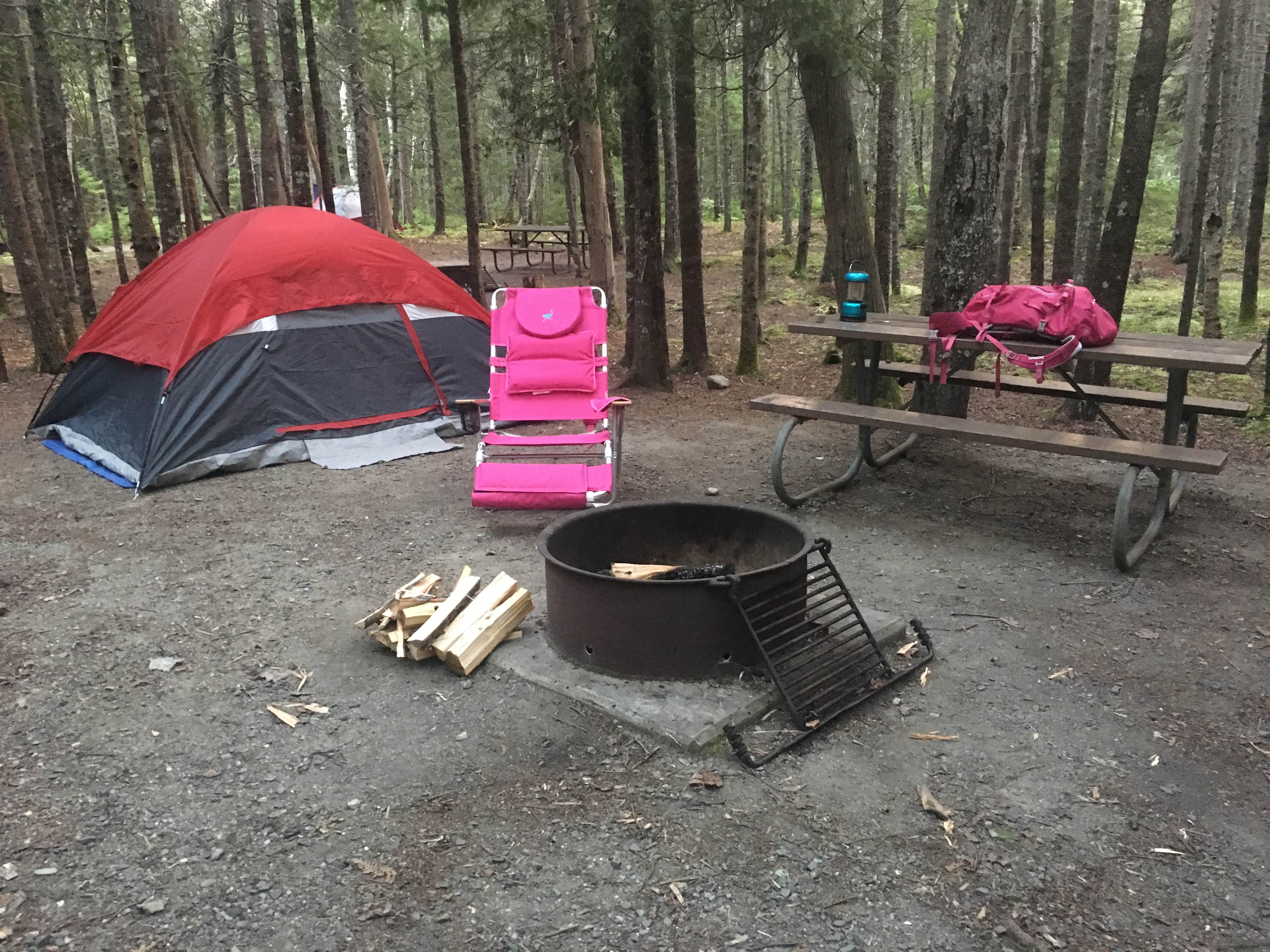 Rachel P.'s photo at Seawall Campground — Acadia National Park near Acadia National Park