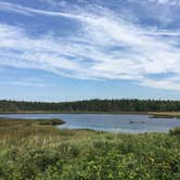 Review photo of Seawall Campground — Acadia National Park by Rachel P., September 6, 2018