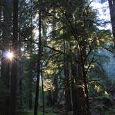 Review photo of La Wis Wis Campground by Megan C., August 6, 2016