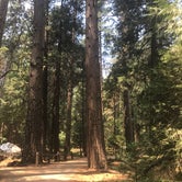 Review photo of Upper Pines Campground — Yosemite National Park by Jack L., September 6, 2018