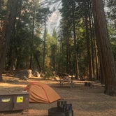 Review photo of Yosemite Valley Backpacker's Campground — Yosemite National Park by Jack L., September 6, 2018