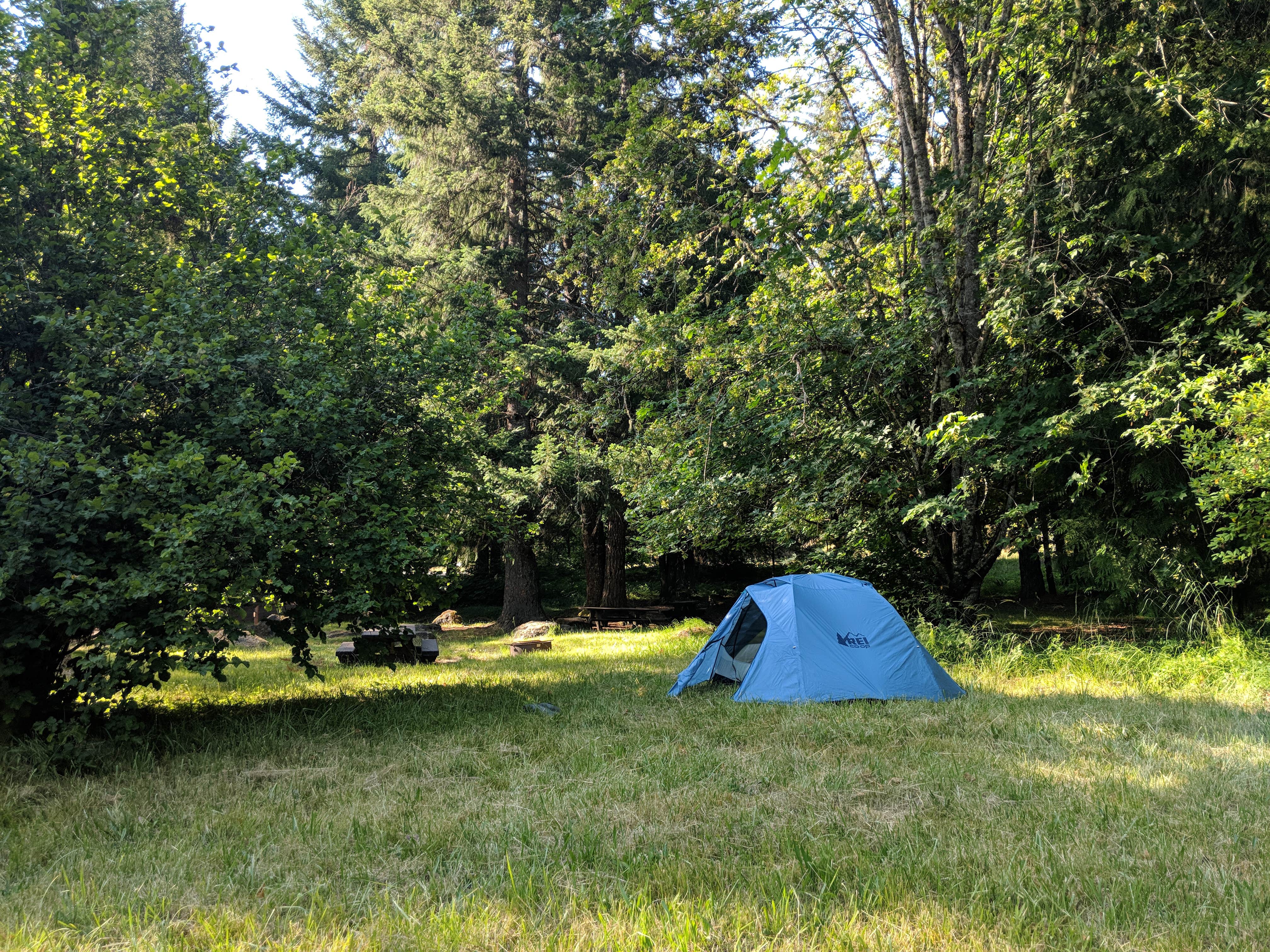 Camper submitted image from French Pete Campground - 4