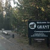Review photo of Grant Village Campground — Yellowstone National Park by Alicia F., September 6, 2018