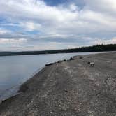 Review photo of Grant Village Campground — Yellowstone National Park by Alicia F., September 6, 2018