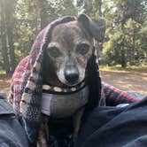Review photo of Grant Village Campground — Yellowstone National Park by Alicia F., September 6, 2018
