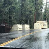 Review photo of Canyon Campground — Yellowstone National Park by Alicia F., September 6, 2018