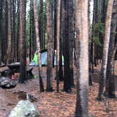 Review photo of Canyon Campground — Yellowstone National Park by Alicia F., September 6, 2018
