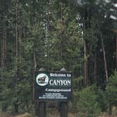 Review photo of Canyon Campground — Yellowstone National Park by Alicia F., September 6, 2018