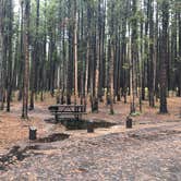 Review photo of Canyon Campground — Yellowstone National Park by Alicia F., September 6, 2018