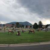 Review photo of Mammoth Campground — Yellowstone National Park by Alicia F., September 6, 2018