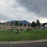 Review photo of Mammoth Hot Springs by Alicia F., September 6, 2018