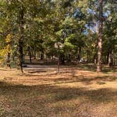 Review photo of Arrowhead Cabin and Canoe by Cultivating Fire L., October 7, 2022