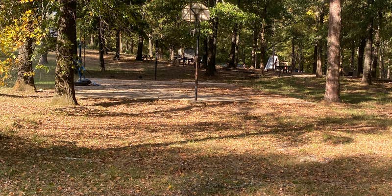 Camper submitted image from Arrowhead Cabin and Canoe