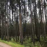 Review photo of Madison Campground — Yellowstone National Park by Alicia F., September 6, 2018