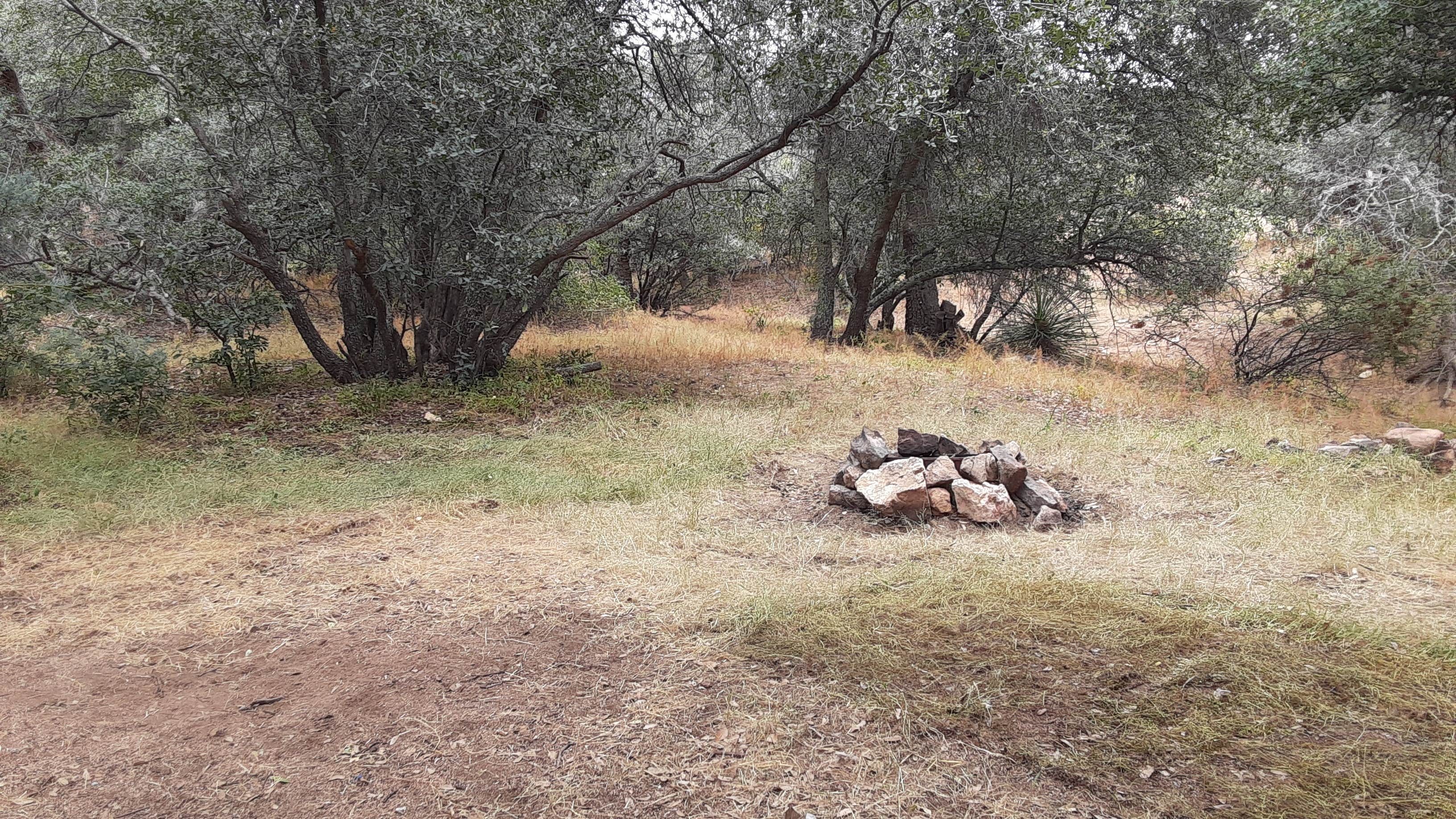 Camper-submitted photo at Gila National Forest Road 861 Dispersed near Playas, NM