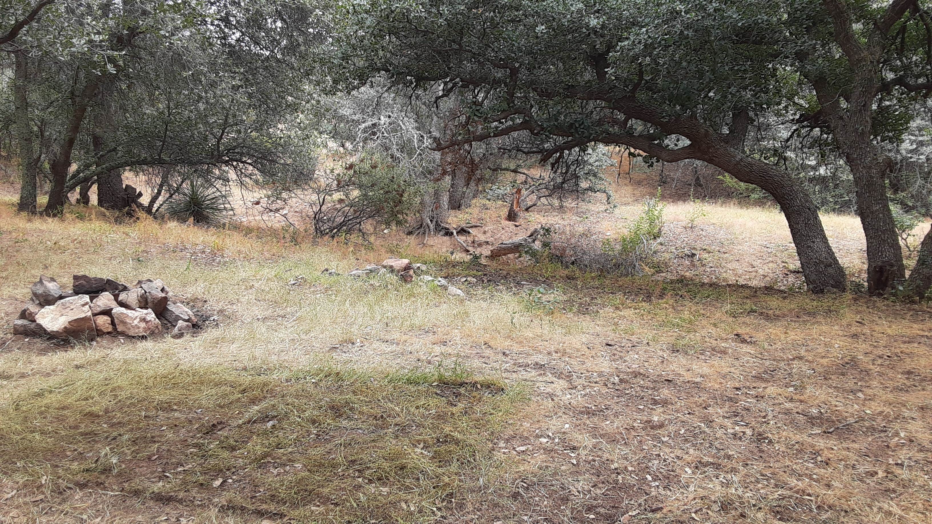 Camper-submitted photo at Gila National Forest Road 861 Dispersed near Playas, NM