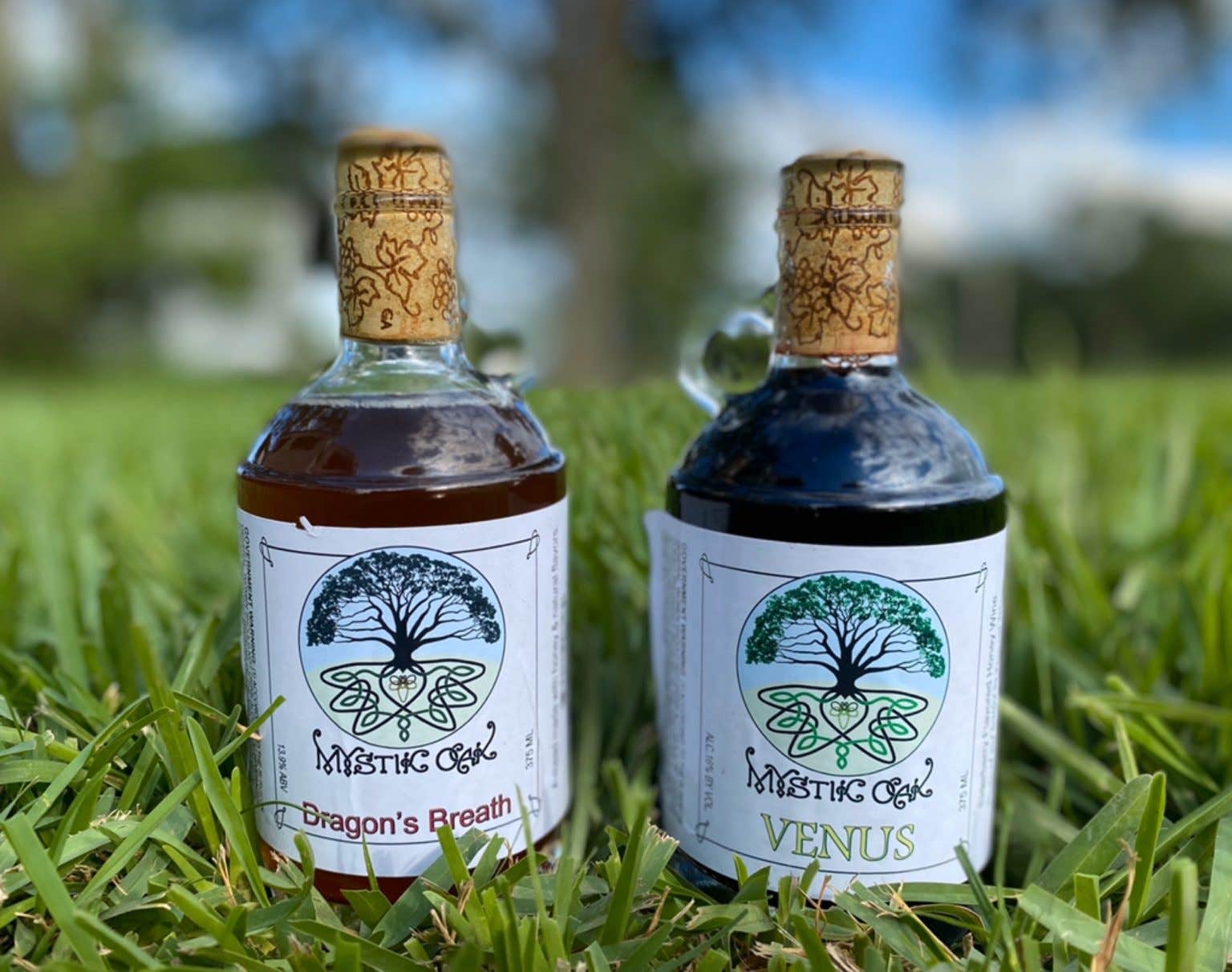 Camper-submitted photo at Frascone Winery near Wallisville, TX