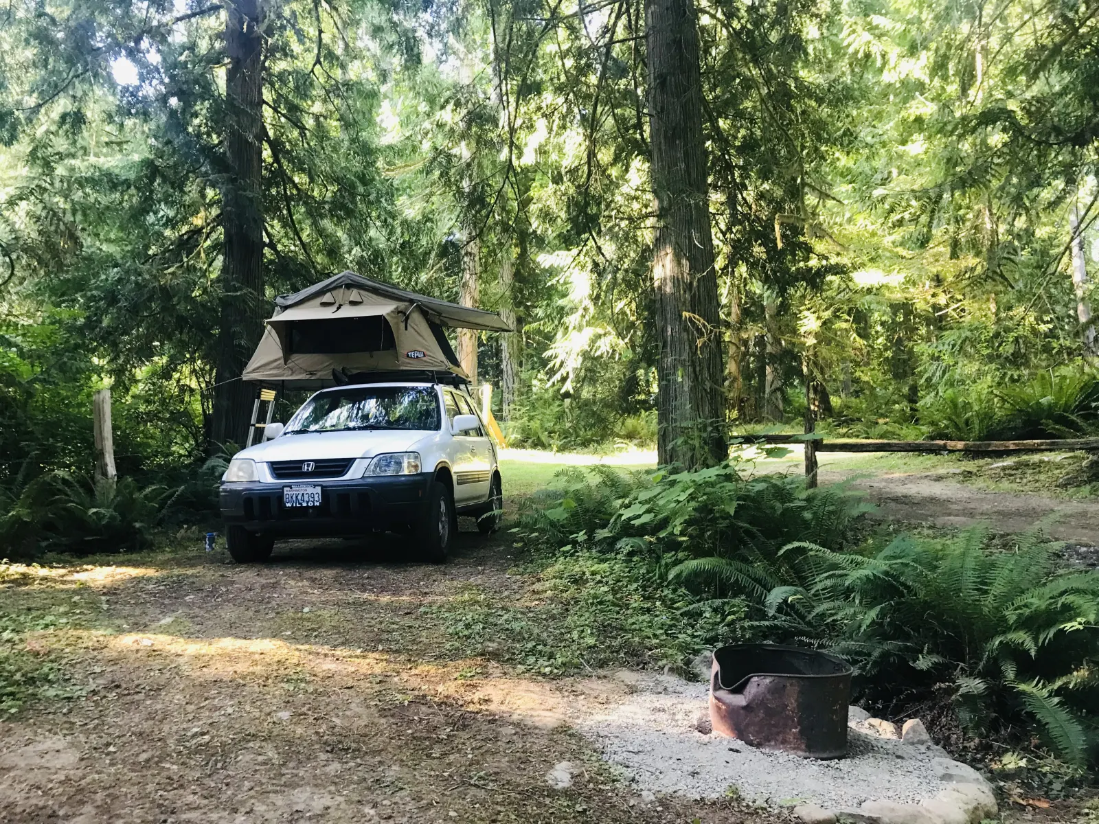 Camper submitted image from Wooded Meadows - 1