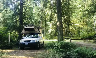 Camping near Captain’s RV hookups: Wooded Meadows, Joyce, Washington