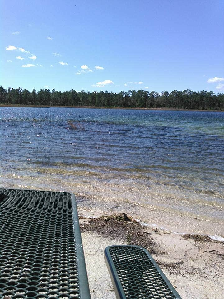 Camper-submitted photo at Clearwater Lake Campground near Ocala National Forest