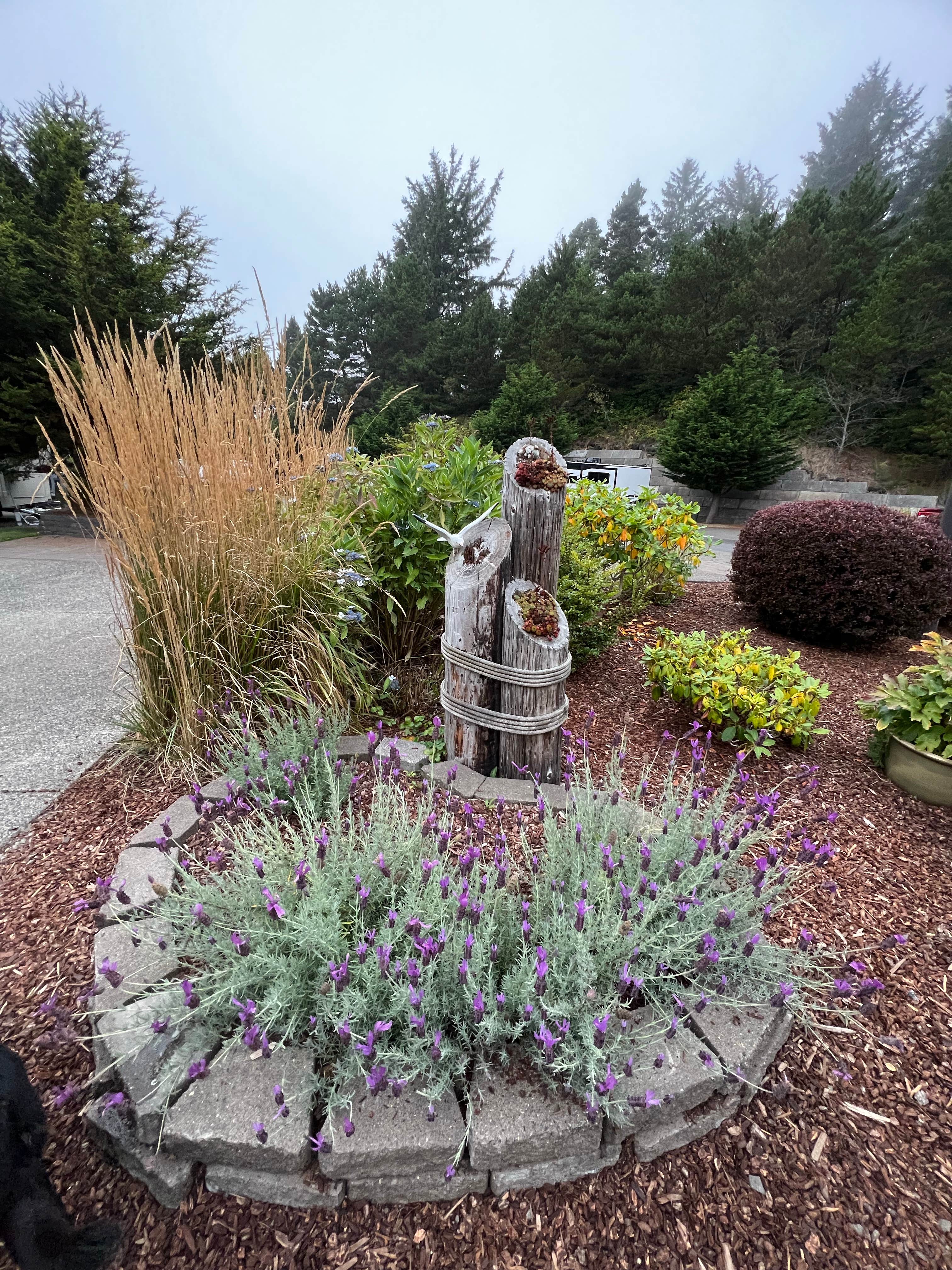 Camper-submitted photo at Premier RV Resort near Neotsu, OR