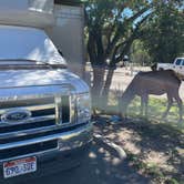 Review photo of Trailer Village RV Park — Grand Canyon National Park by Wayne F., October 7, 2022