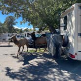 Review photo of Trailer Village RV Park — Grand Canyon National Park by Wayne F., October 7, 2022