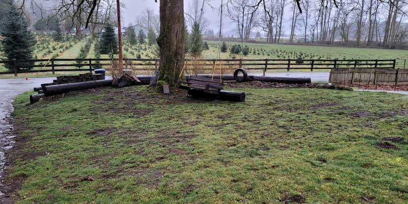 Camper submitted image from Big Backyard