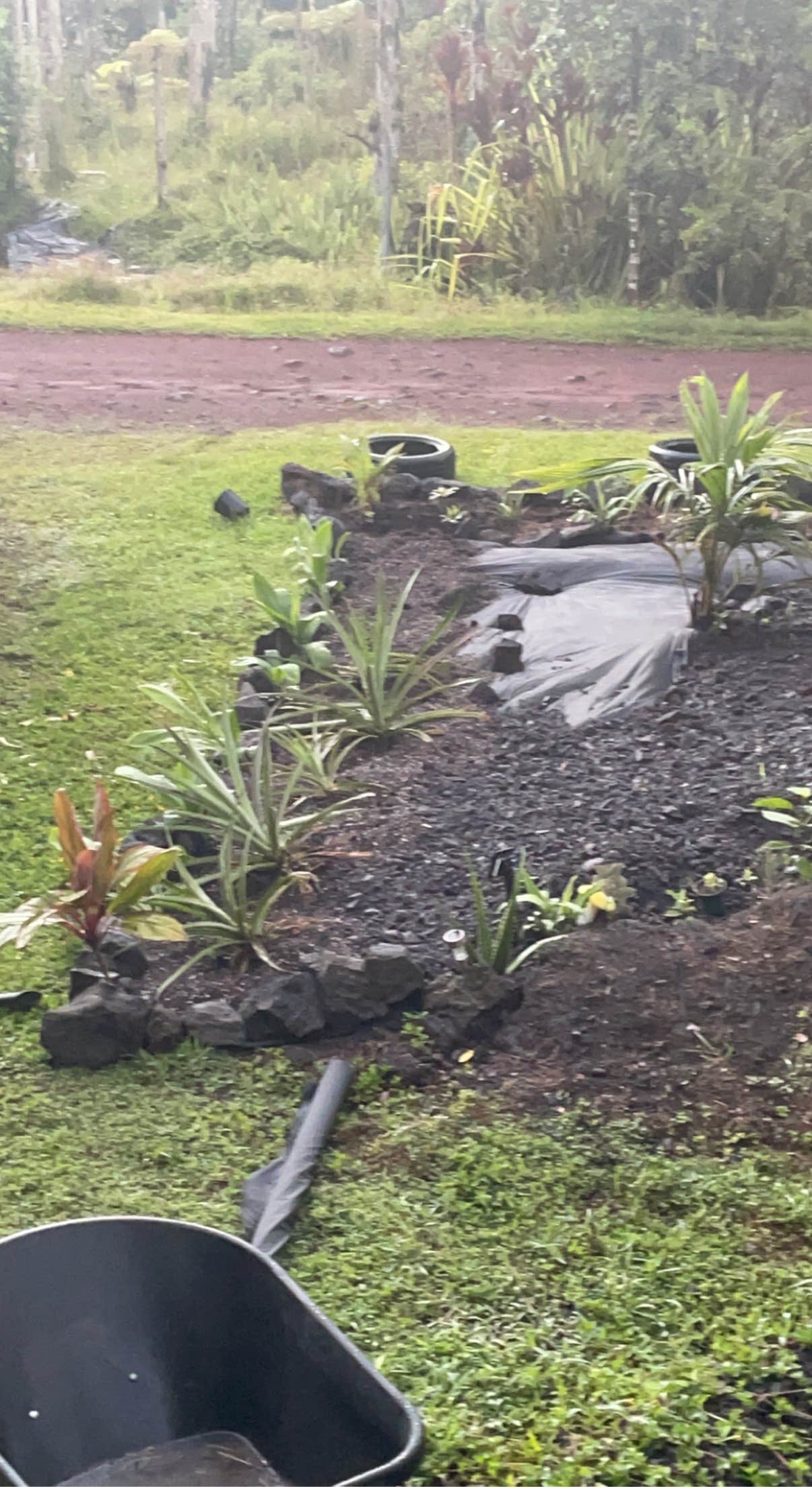 Camper-submitted photo at Honu Hale near Hawaiian Paradise Park, HI