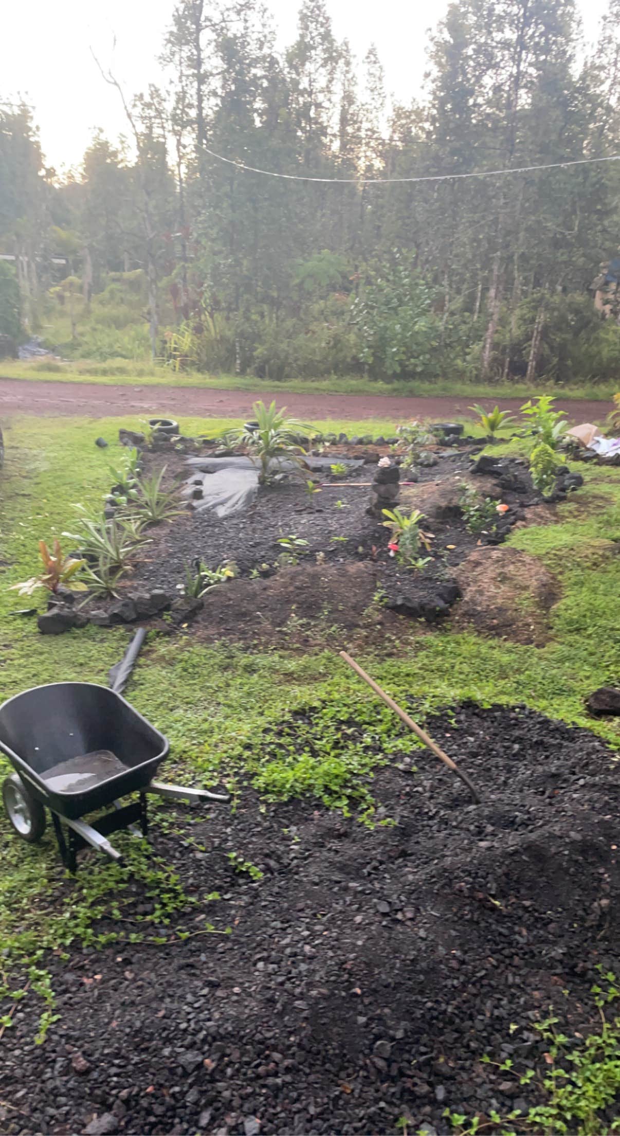 Camper-submitted photo at Honu Hale near Hawaiian Paradise Park, HI