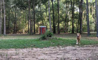 Crystal R.'s photo of camping with pets at Jordon Rustad near College Station, TX