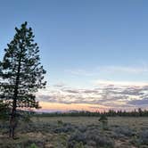 Review photo of Tom Best Spring Road FR117 Dispersed - Dixie National Forest by Drea M., October 8, 2022