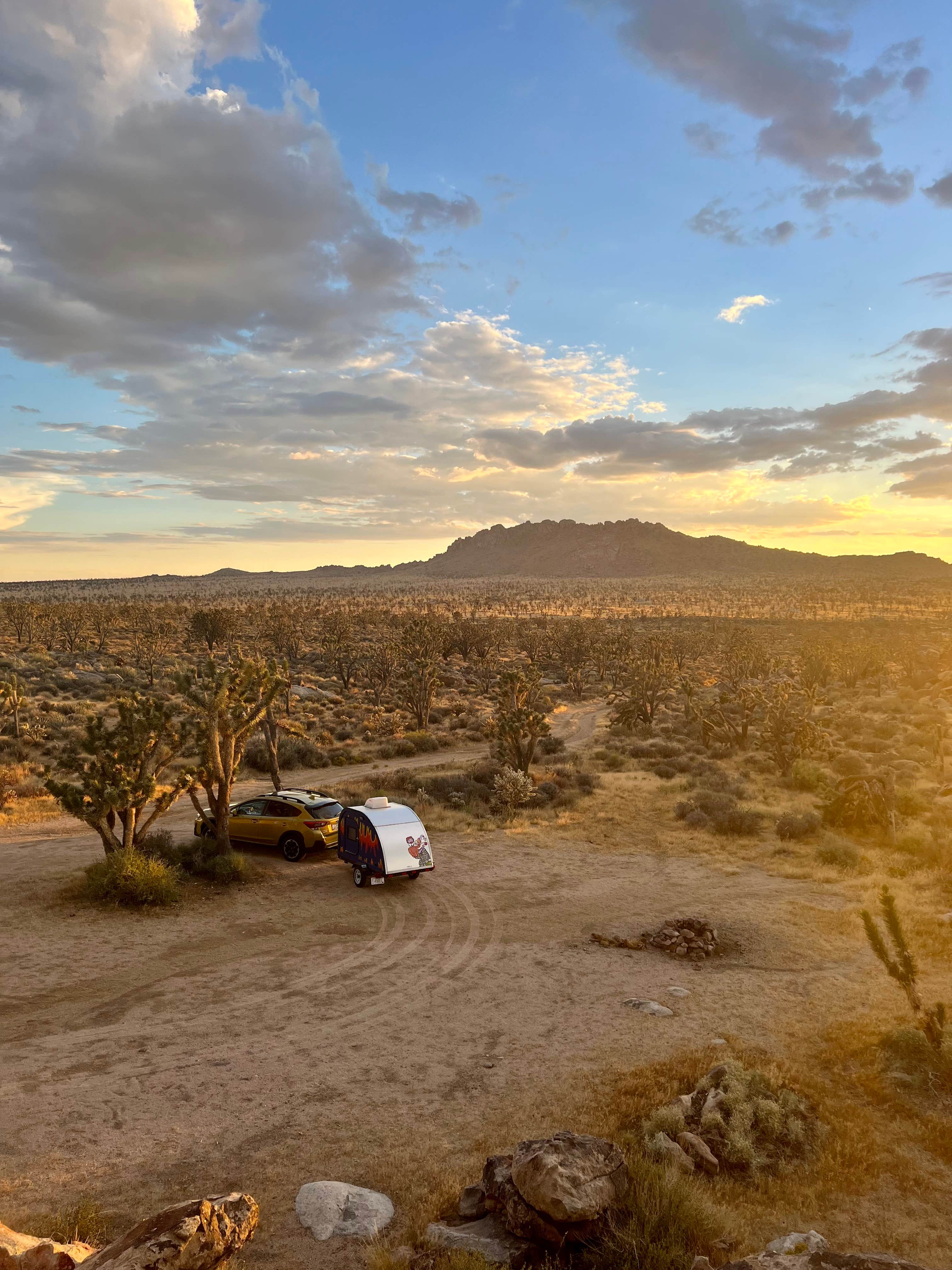 Drea M.'s photo at Mojave Cross Dispersed — Mojave National Preserve near Jean, NV