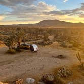 Review photo of Mojave Cross Dispersed — Mojave National Preserve by Drea M., October 8, 2022