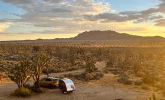 Drea M.'s photo at Mojave Cross Dispersed — Mojave National Preserve near Jean, NV