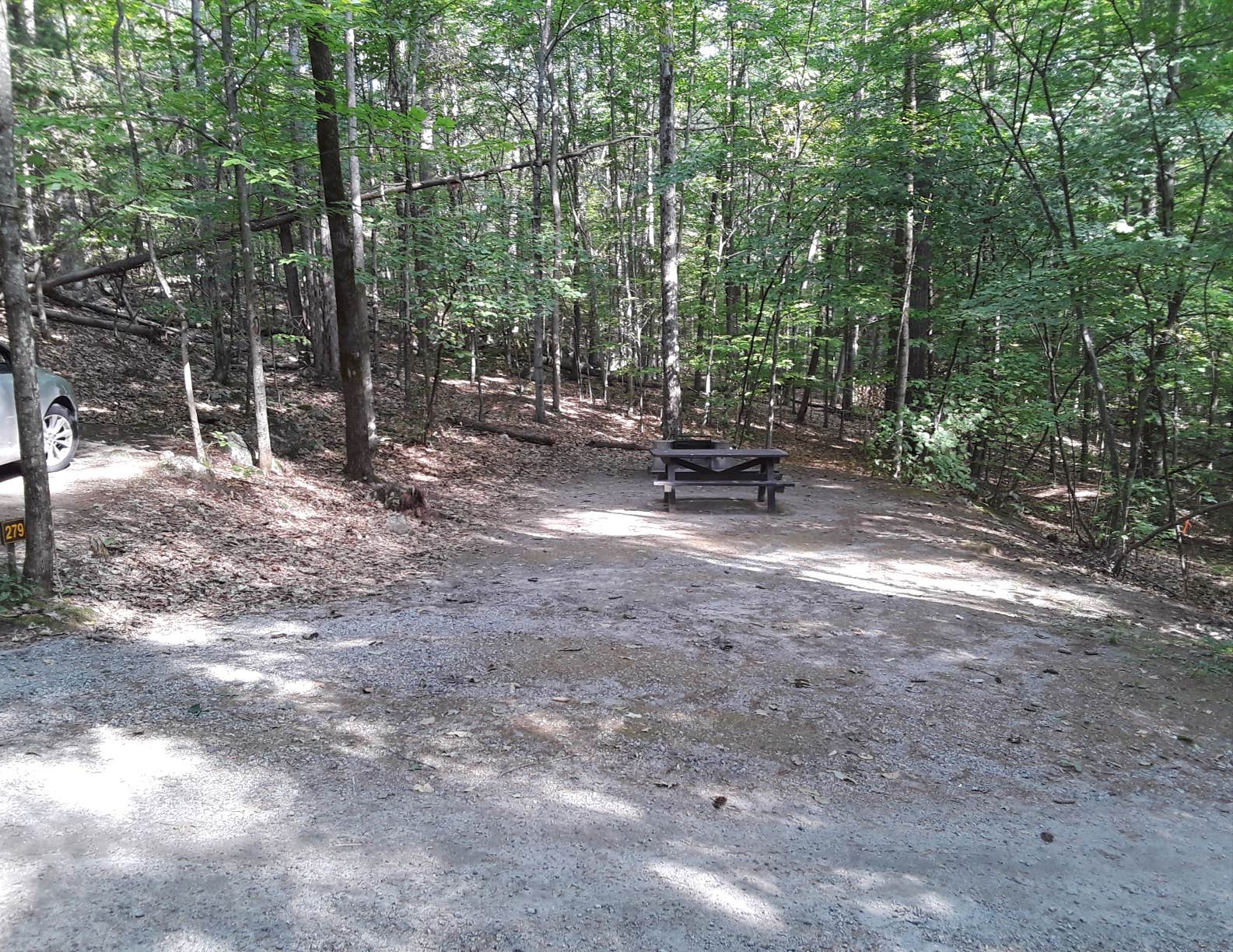 Camper submitted image from Rogers Rock Campground - 4