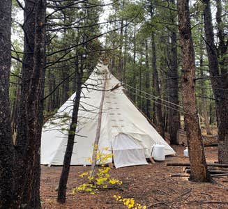 Camper-submitted photo from Tipi Tranquility 