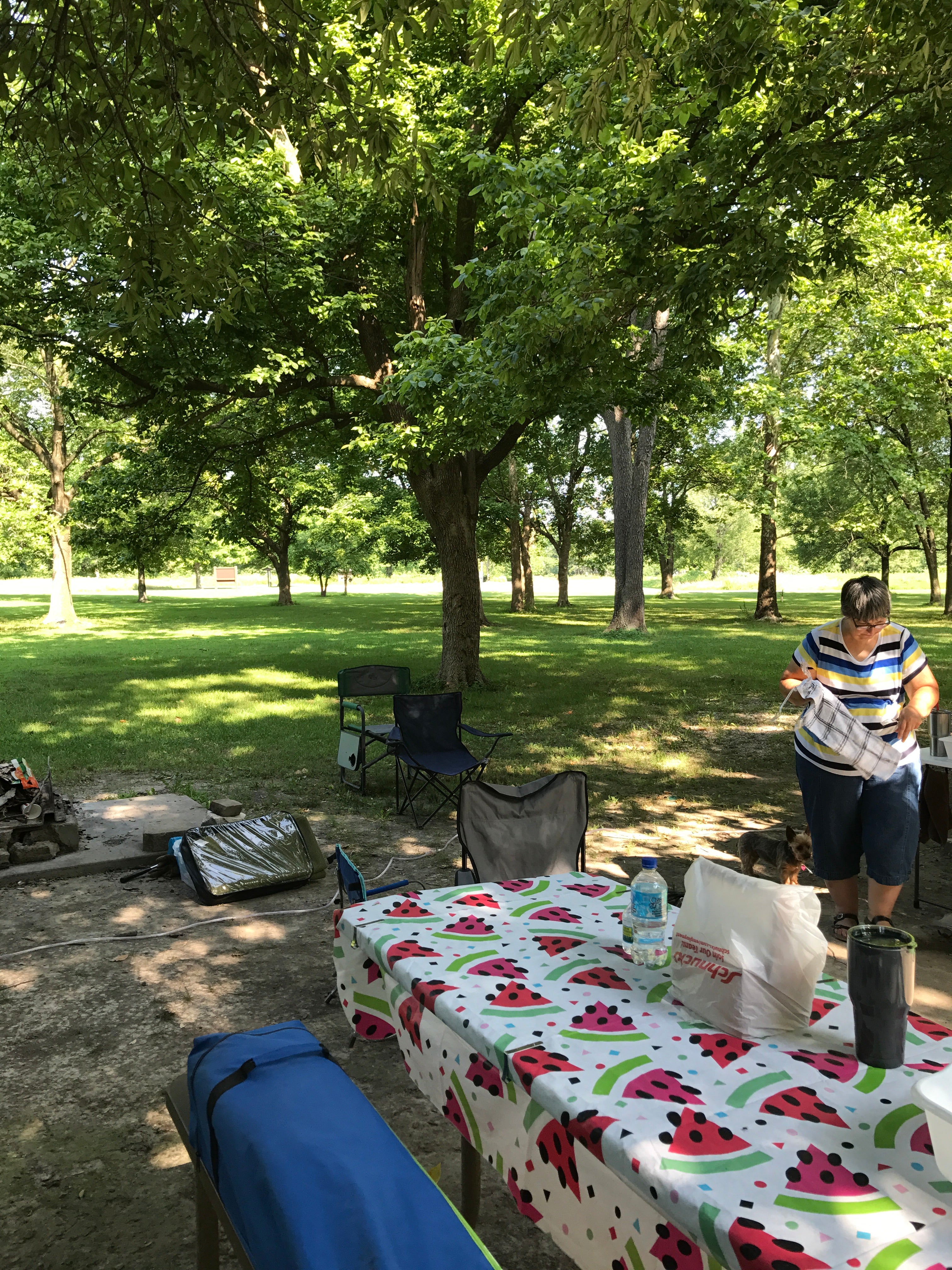 Camper submitted image from Illini Campground — Eldon Hazlet State Recreation Area - 4