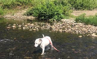 Holly's photo of camping with pets at Brookside RV Camping (Electric hookup only) near Montpelier, VT