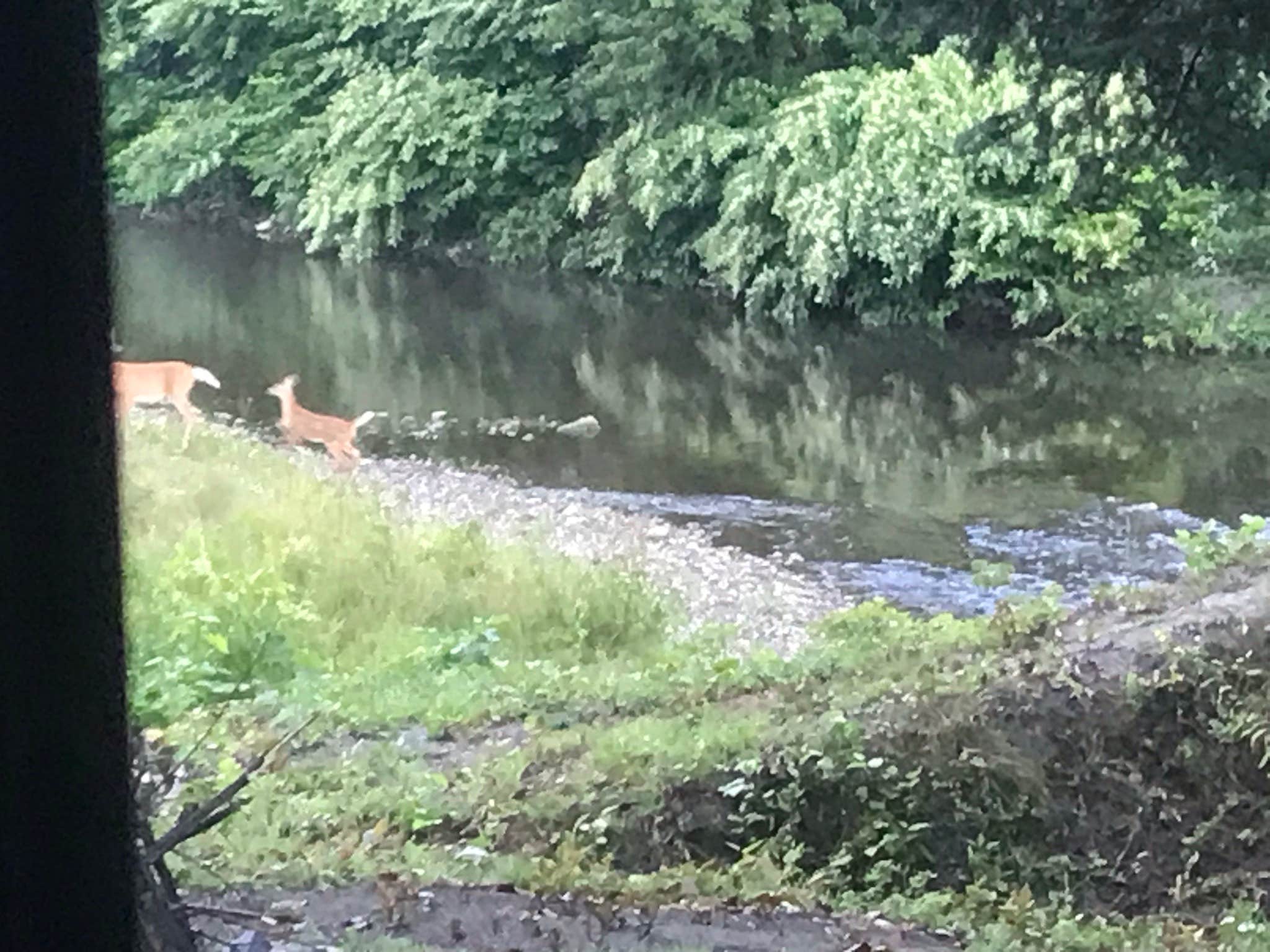 Camper-submitted photo at Brookside RV Camping (Electric hookup only) near Barre, VT