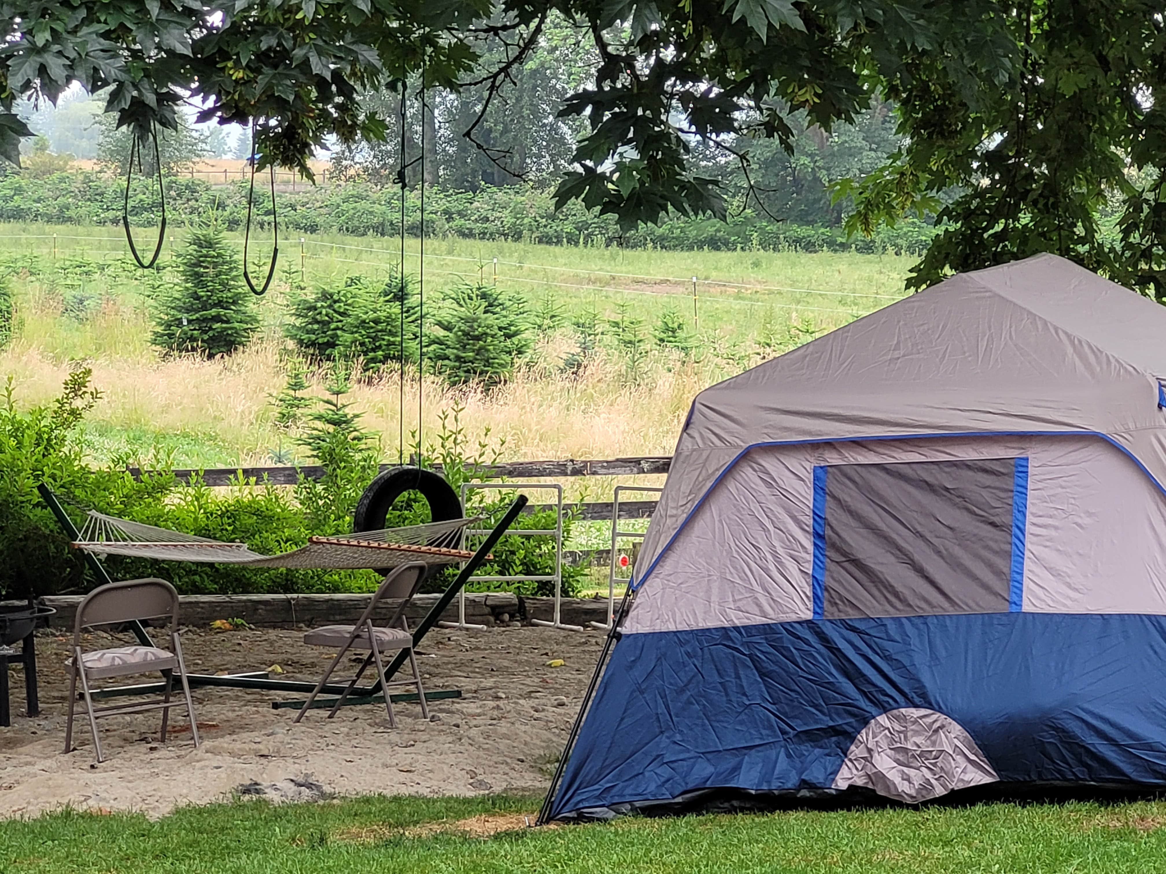 Debbie H.'s photo at Big Backyard near Lake Tapps, WA